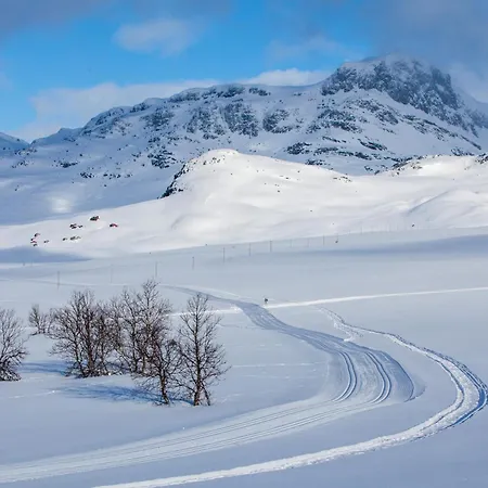 Hébergement de vacances Stylish And Spacious In The Heart Of Beitostolen