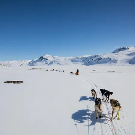 Stylish And Spacious In The Heart Of Hébergement de vacances Beitostolen